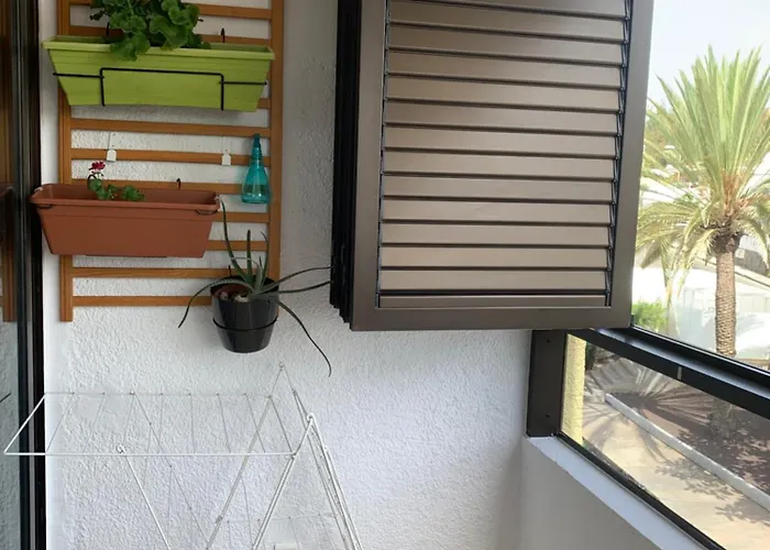 Appartement Casa Lelos