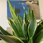 Apartamento Casa Lelos San Bartolomé